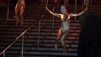 é‡‘ç²‰ã‚·ãƒ§ãƒ¼